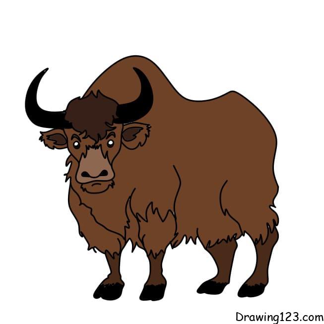 how-to-draw-yak-step-9-4 piirustus