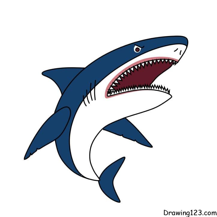 how-to-draw-shark-step-7 piirustus