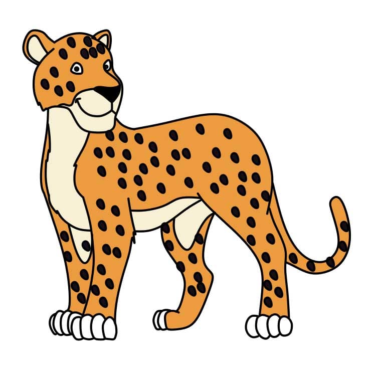 How-to-Draw-Jaguar-Step-11 piirustus