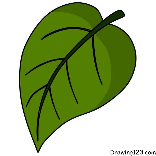 how-to-draw-a-leaf-step-4-7 piirustus