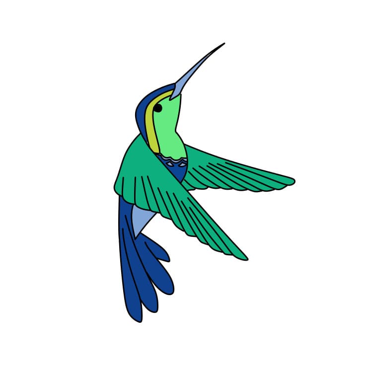 How-to-Draw-a-Hummingbird-Step-8-10 piirustus