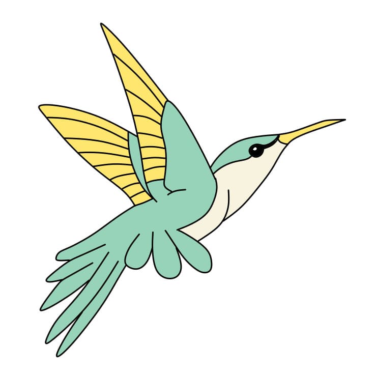 How-to-Draw-a-Hummingbird-Step-8-8 piirustus