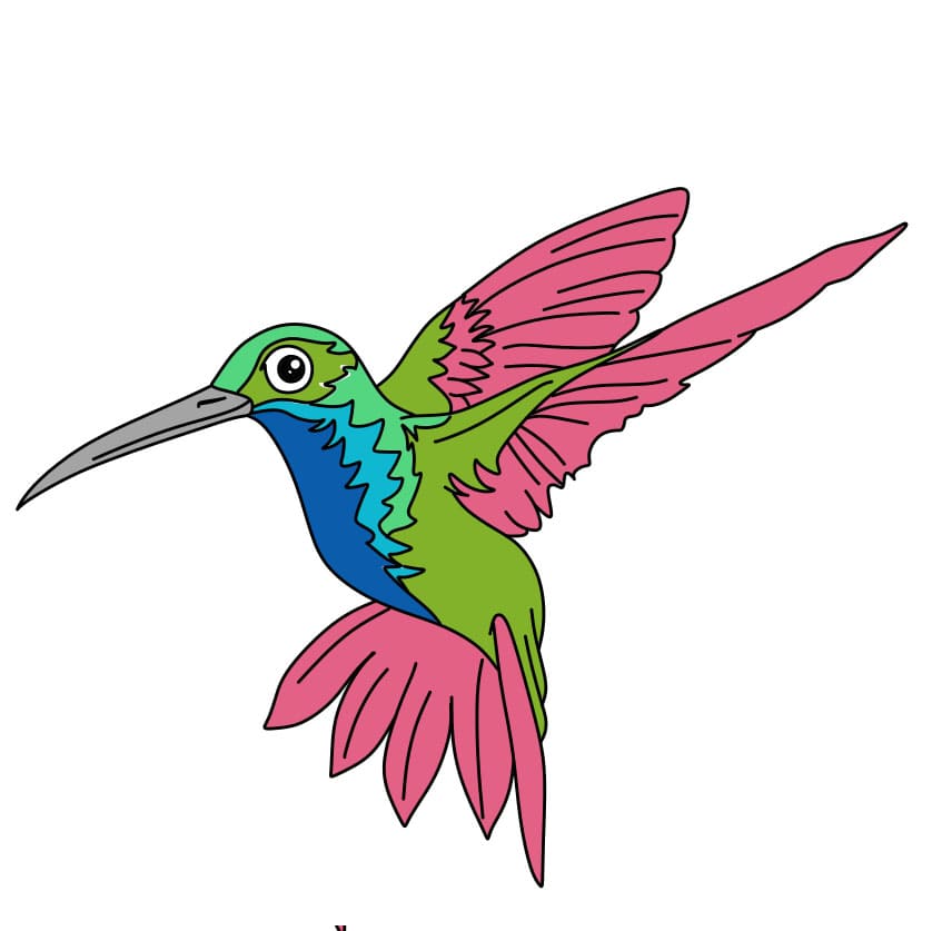 How-to-Draw-a-Hummingbird-Step-9 piirustus