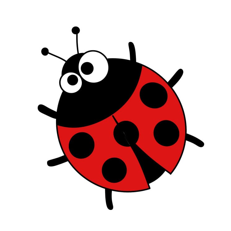 How-to-Draw-a-Ladybug-Step-6-2 piirustus