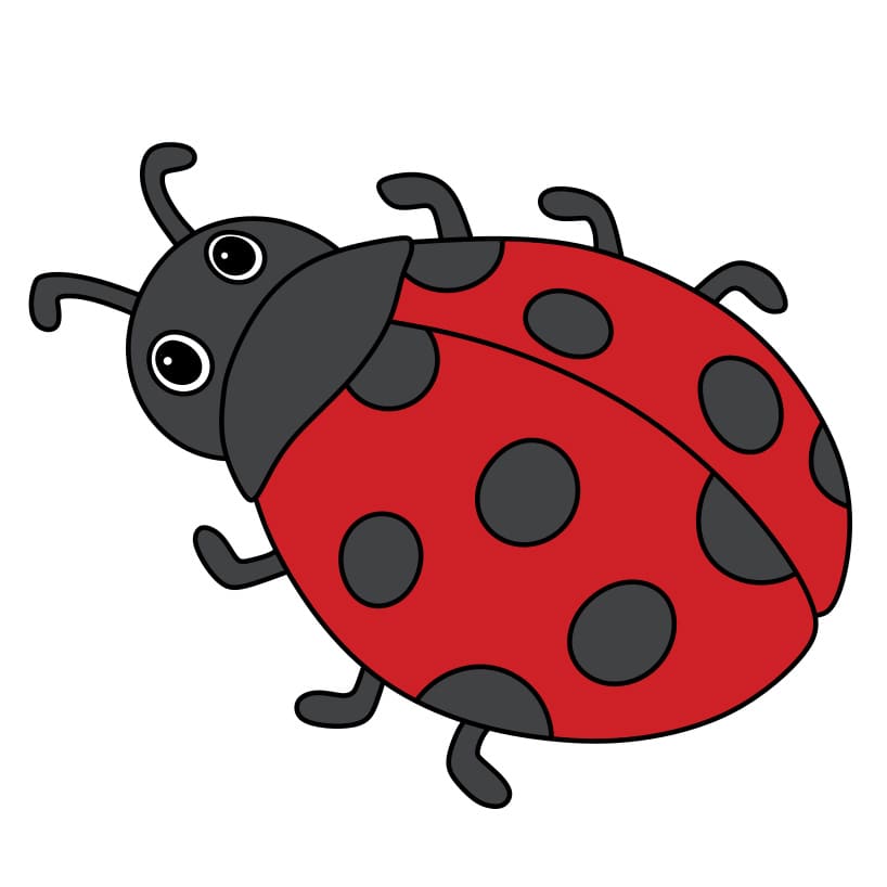 How-to-Draw-a-Ladybug-Step-7-2 piirustus