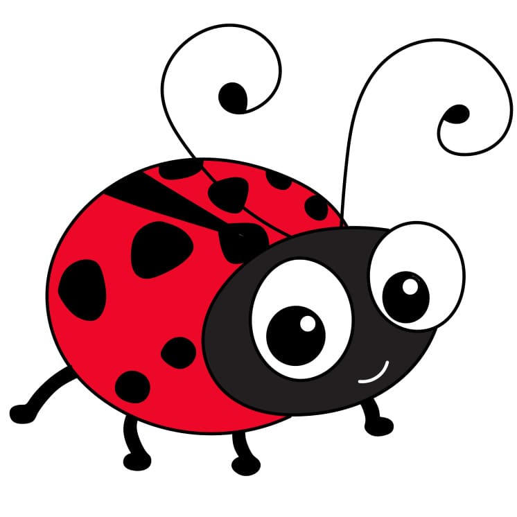 How-to-Draw-a-Ladybug-Step-8-2 piirustus