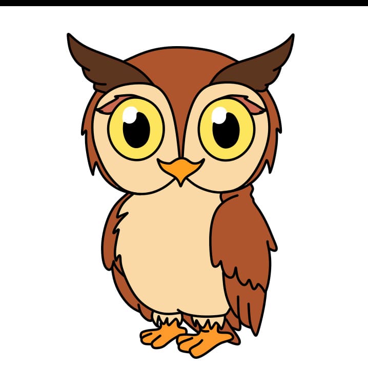 How-to-Draw-an-Owl-Step-9 piirustus