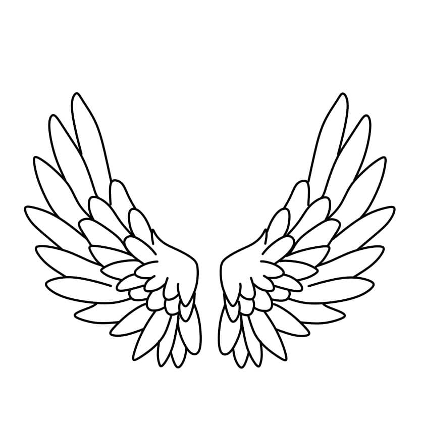 How-to-draw-angel-wings-Step-4-5 piirustus