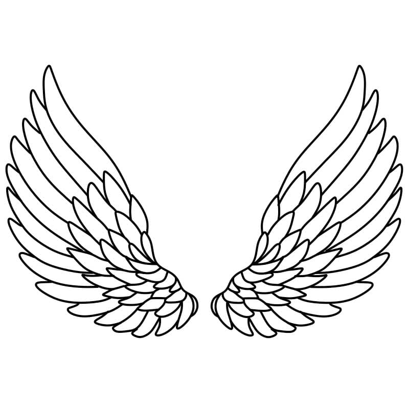 How-to-draw-angel-wings-Step-5-2 piirustus