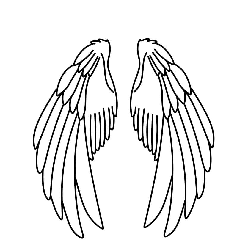 How-to-draw-angel-wings-Step-5-6 piirustus