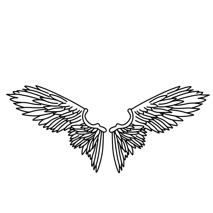 How-to-draw-angel-wings-Step-6-3 piirustus