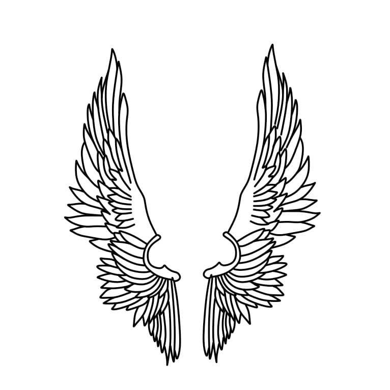 How-to-draw-angel-wings-Step-8 piirustus