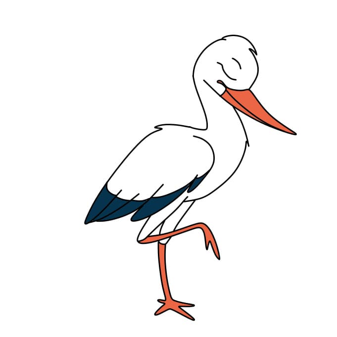 How-to-draw-a-stork-Step-8-4 piirustus