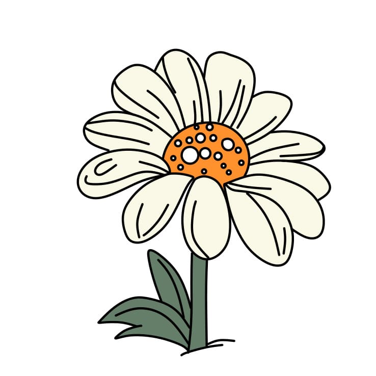 How-to-draw-daisy-Step-6-2 piirustus