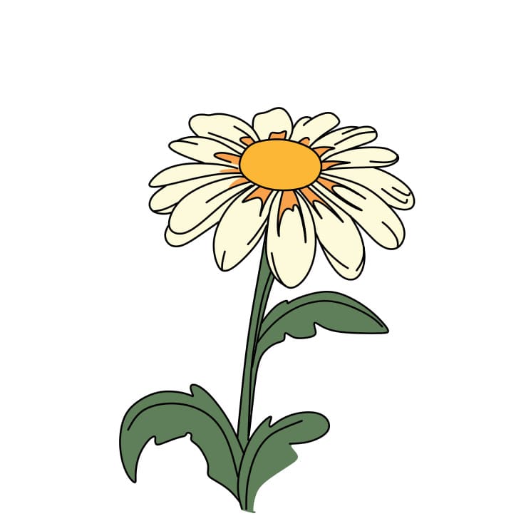 How-to-draw-daisy-Step-7-1 piirustus