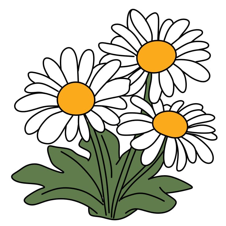 How-to-draw-daisy-Step-7-3 piirustus