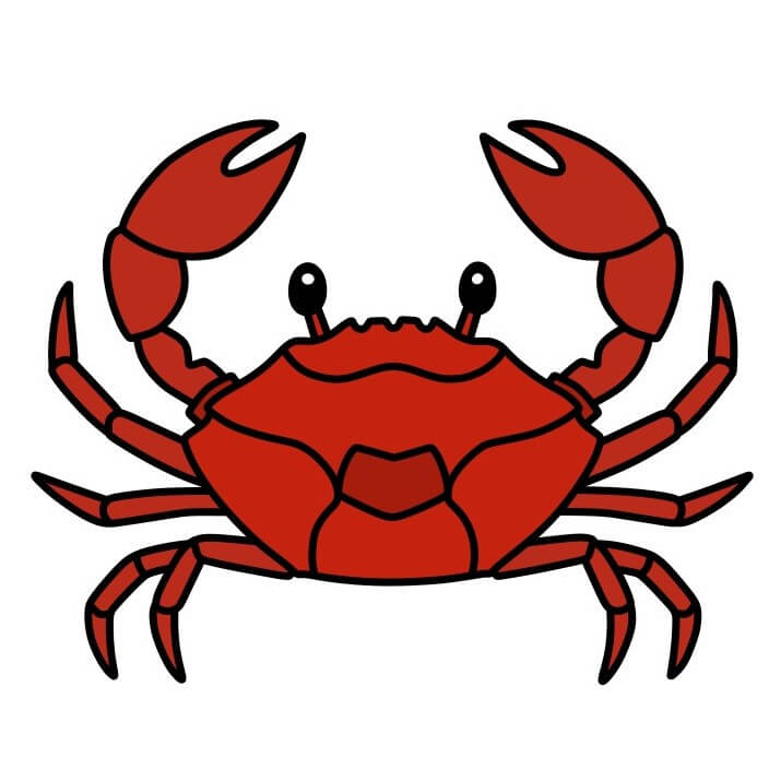 Crab 5-9 piirustus