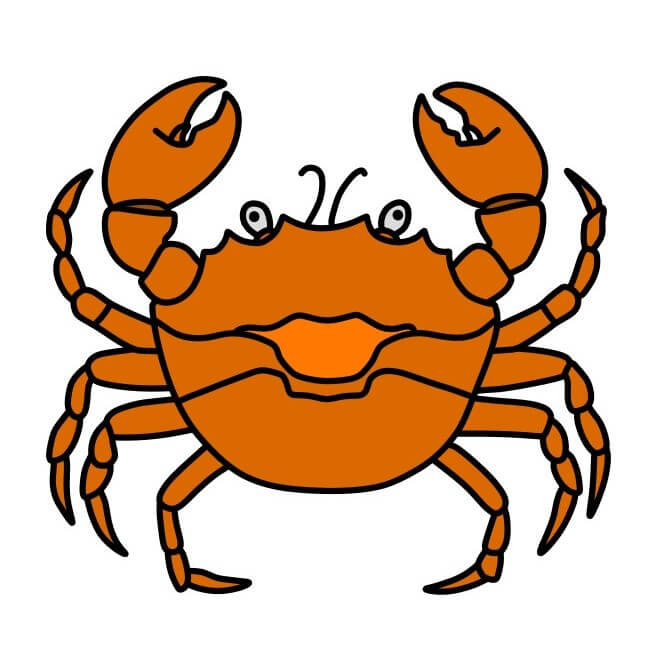 Crab 6-8 piirustus