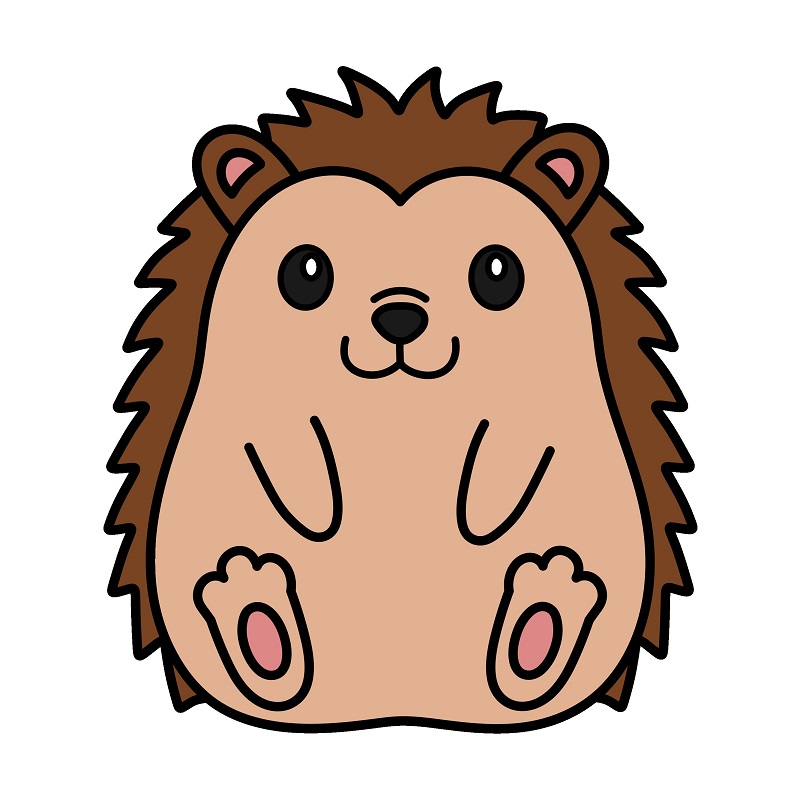Hedgehog 4 8 Piirustus