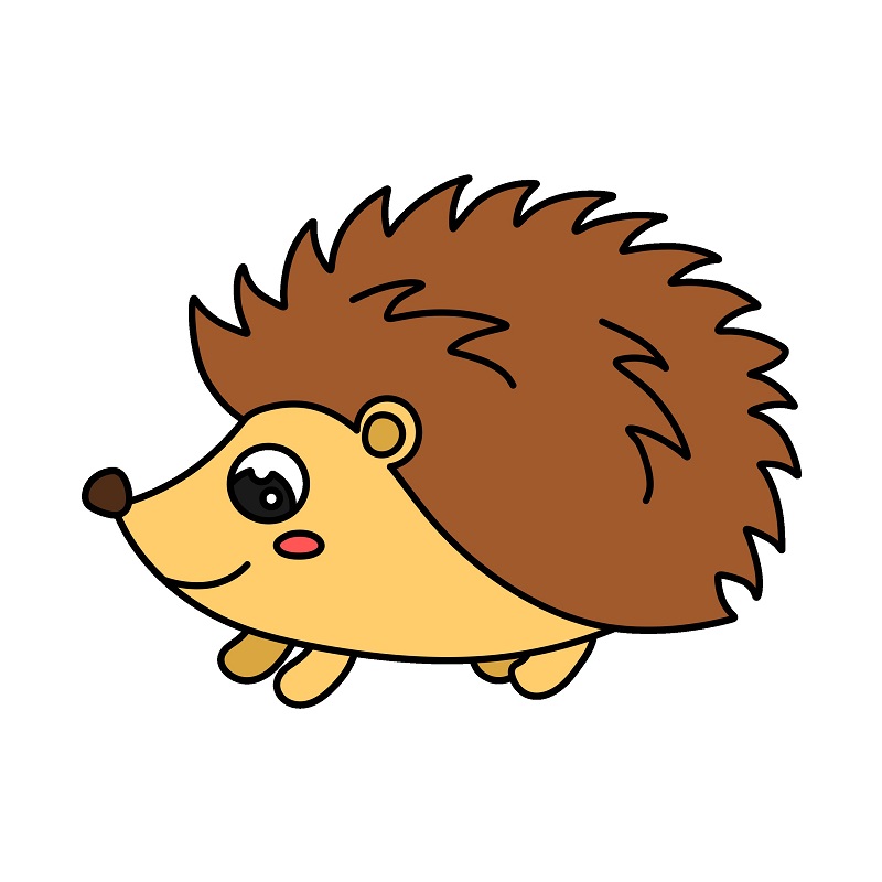 Hedgehog 5 (8) piirustus