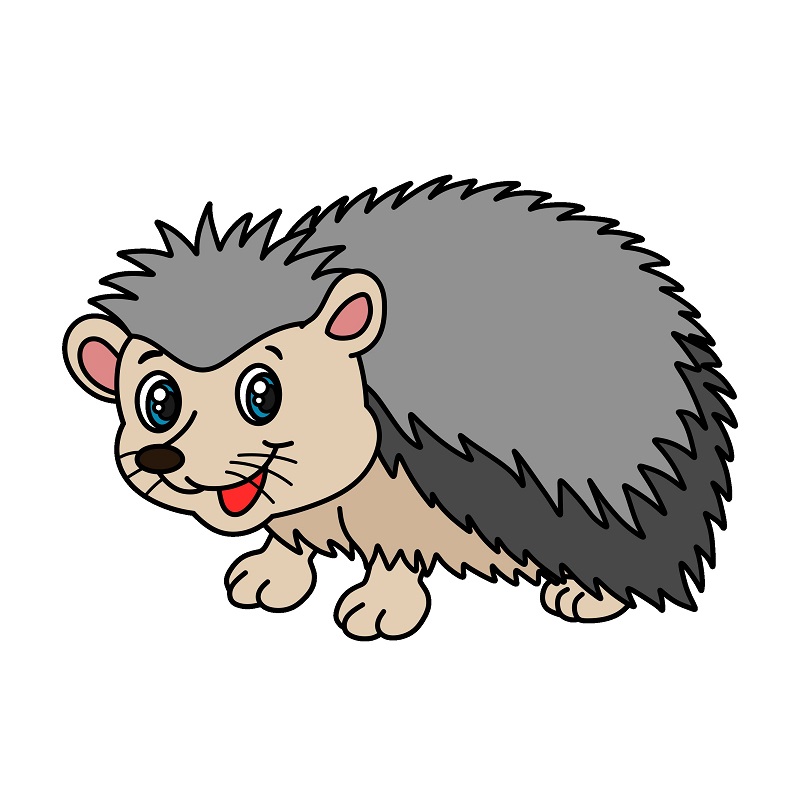 Hedgehog 6 11 Piirustus