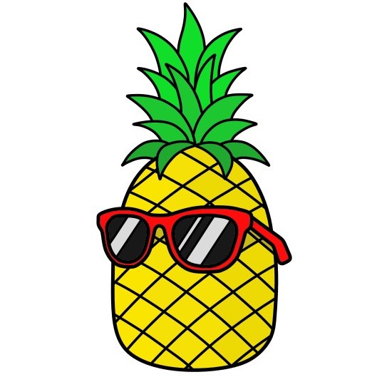 Pineapple 2-6 piirustus