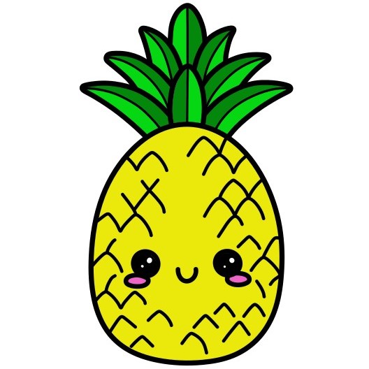 Pineapple 3-5 piirustus