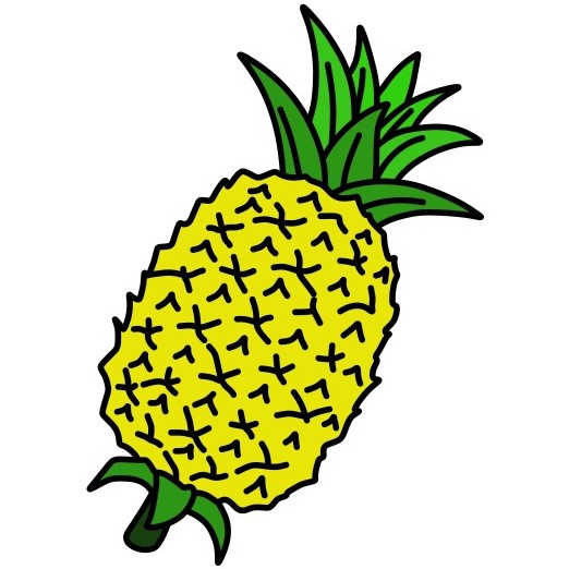 Pineapple 5-5 piirustus