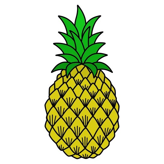 Pineapple 6-5 piirustus