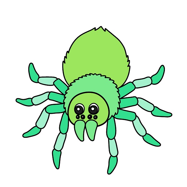 Spider 5 (9) piirustus