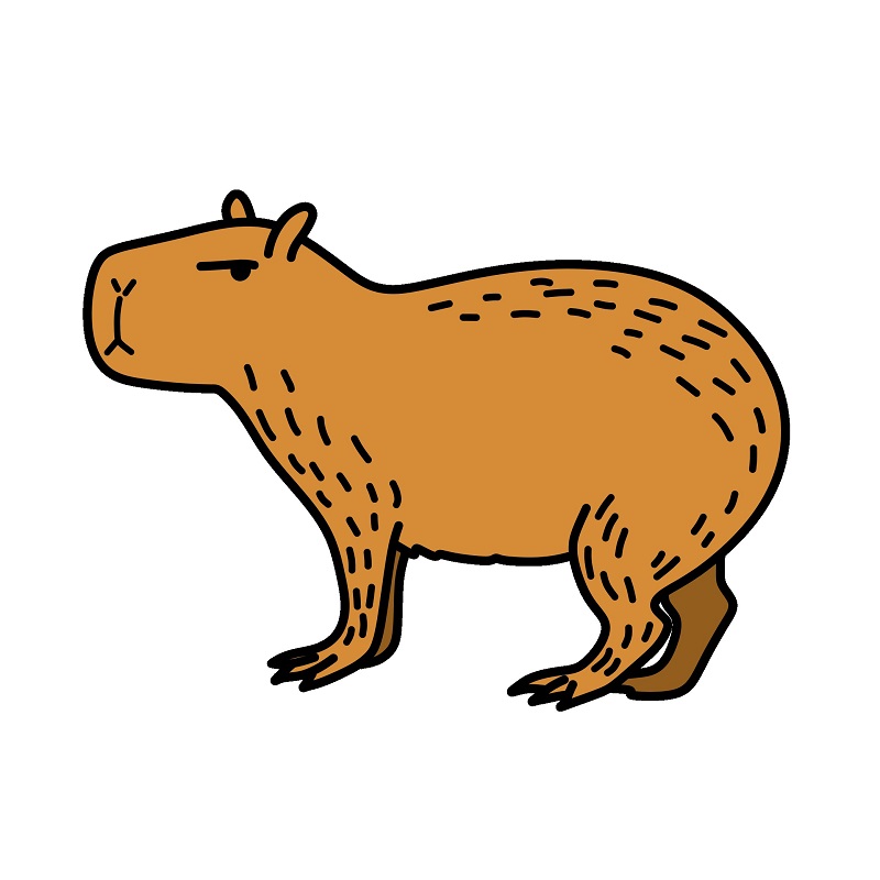 Capybara 4 (7) piirustus