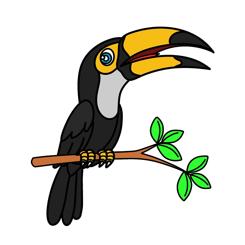 Toucan 3 (10) piirustus