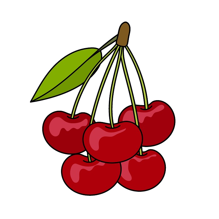 Cherry 2 (6) piirustus