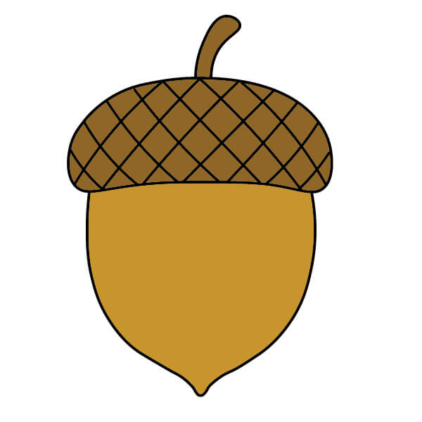 Acorn 4-5 piirustus