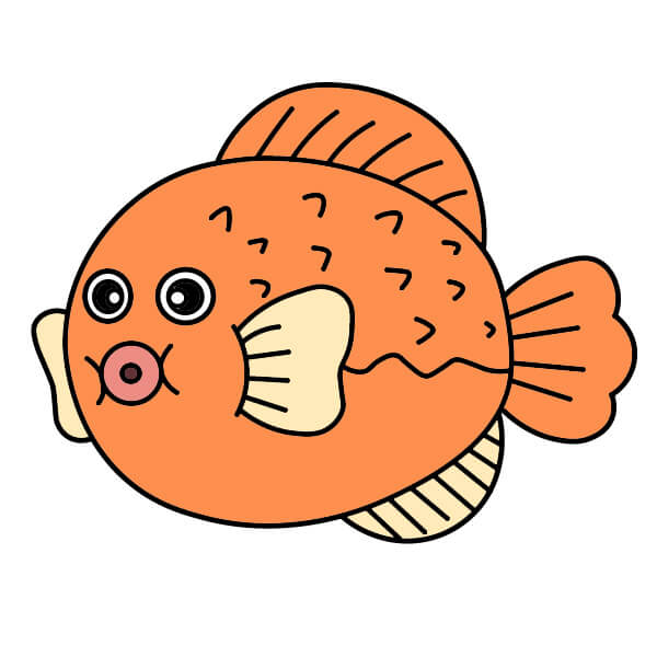 Pallokala 3-10 piirustus