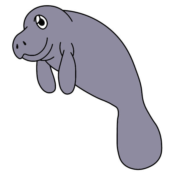 Manaatti piirustus