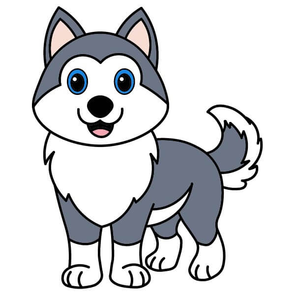 Husky piirustus