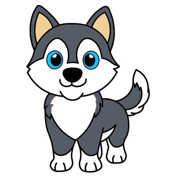 Husky 6-13 piirustus