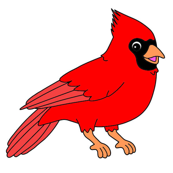 Kardinaali piirustus
