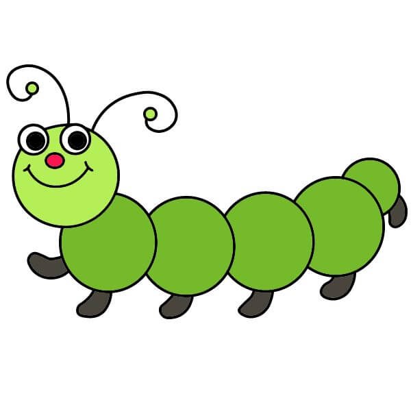Toukka piirustus